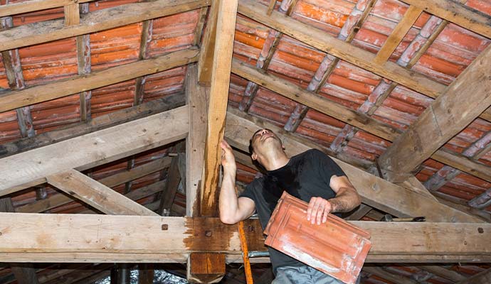 A professional inspecting water damage attic