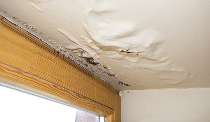 Bubbling and peeling ceiling paint near a window from water damage