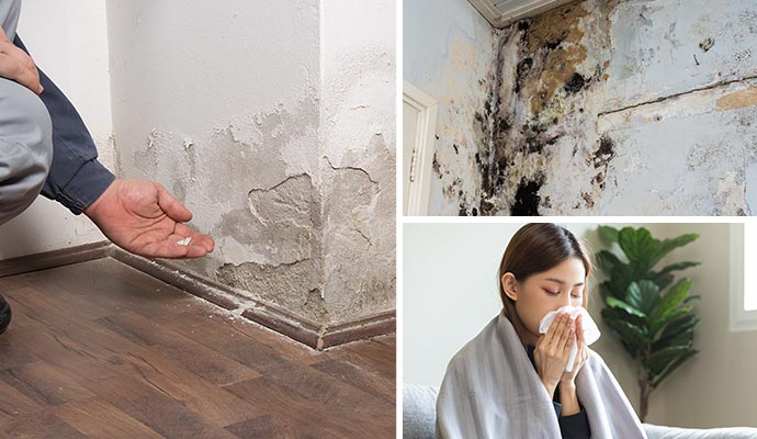 Collage of structural damaged, mold damaged wall and a woman blowing her nose