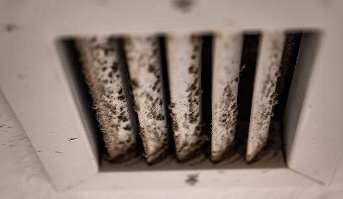 HVAC Mold Remediation in Livonia and Canton