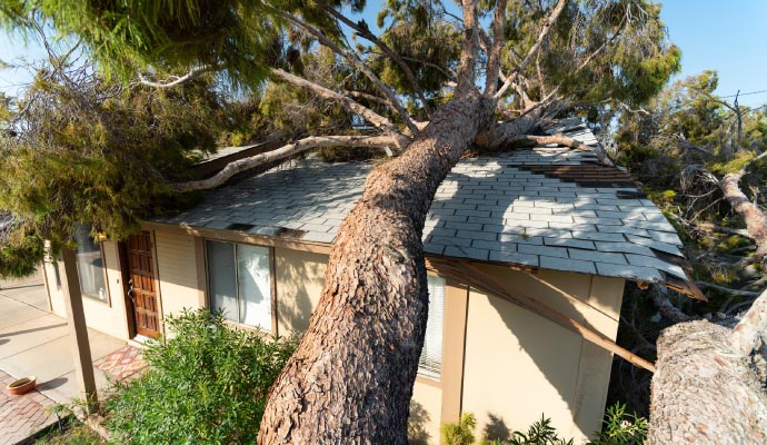 Storm damage