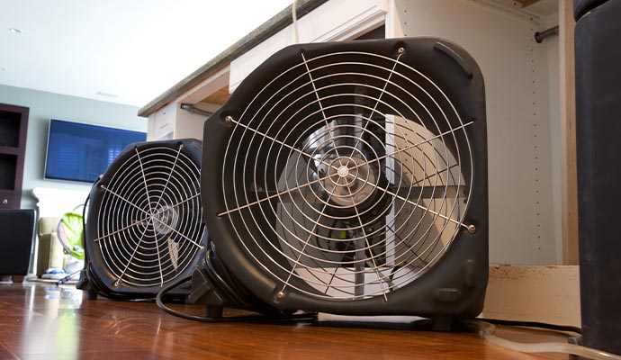 Moisture Control after Water Damage in Livonia and Canton