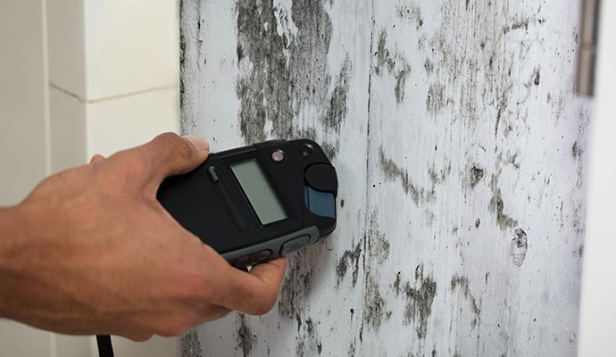 Mold level testing service