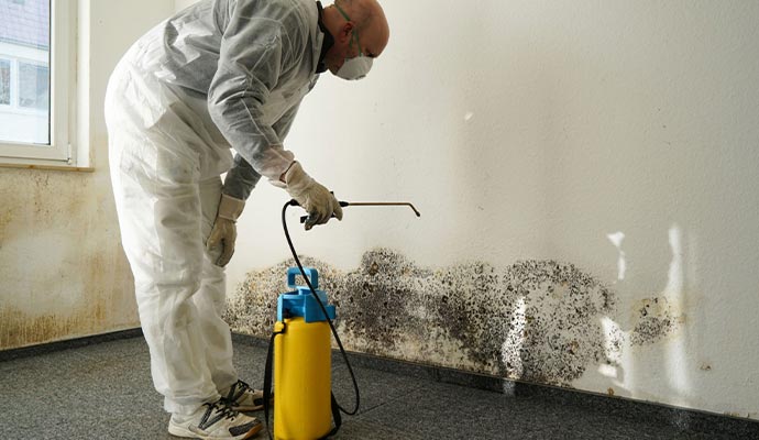 Black mold treatment wall