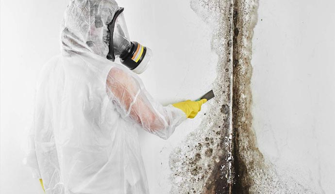 Worker cleaning black mold wall