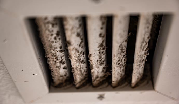 Moldy air vent