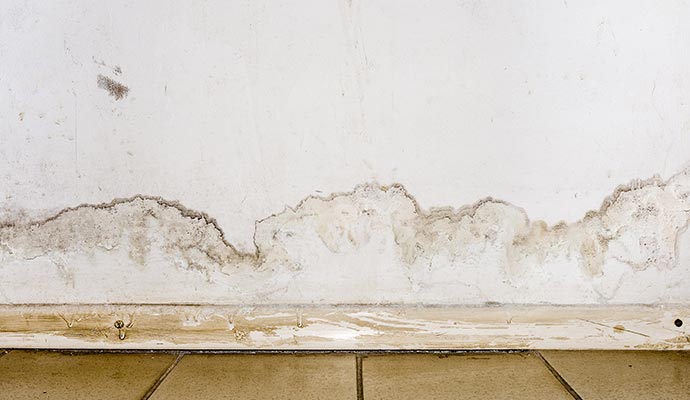 Moldy wall due to moisture trapped inside wall