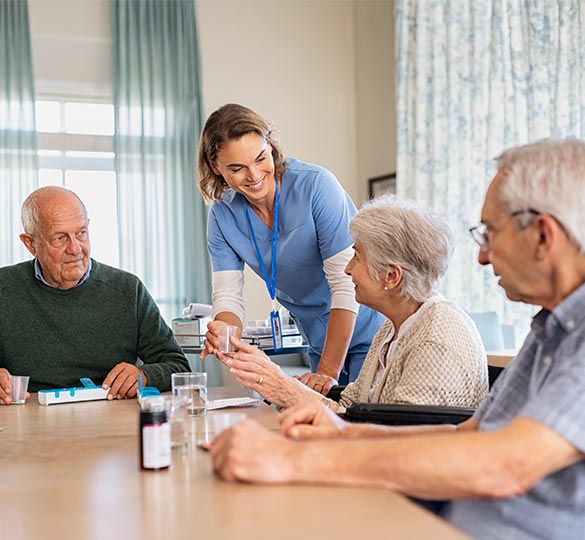 Professional caregiver supporting seniors