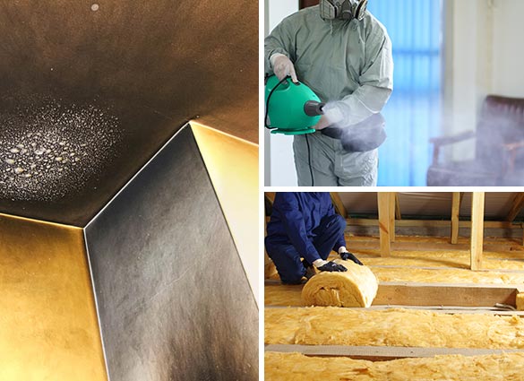 Professional fire and smoke damage restoration services