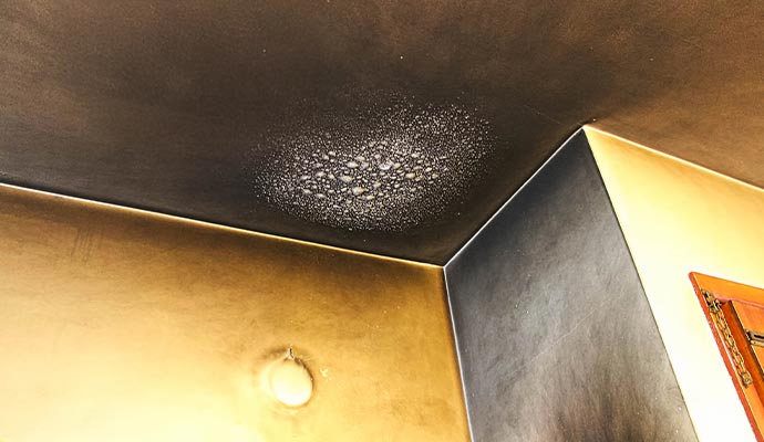 Smoke damaged ceiling