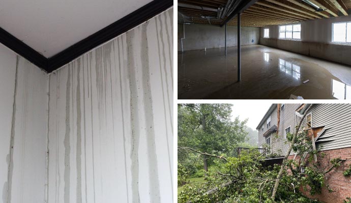 Collage of water stain on wall, flooded basement and fallen branches around the house