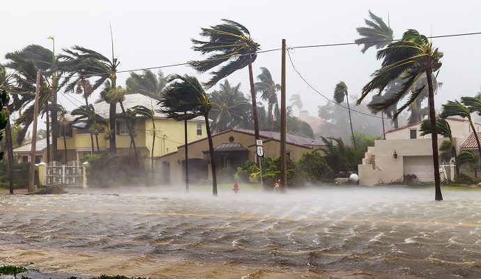 Hurricane storm damaging trees