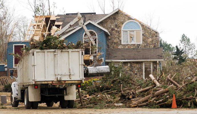 Tree damage cleanup service