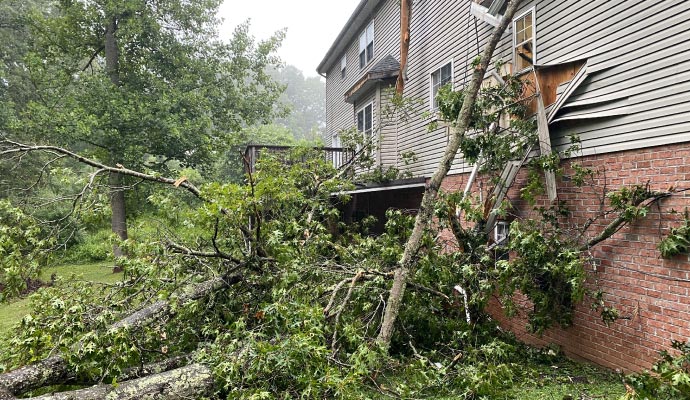 Wind damaged property