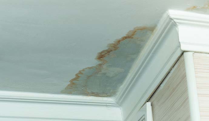 Water leak stains on interior ceiling near crown molding