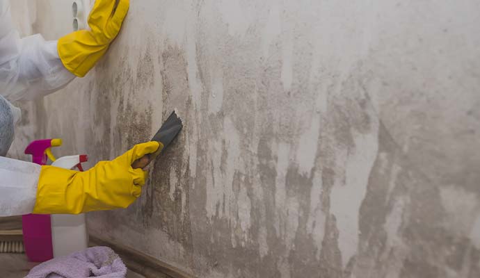 Worker scraping peeling paint from interior wall