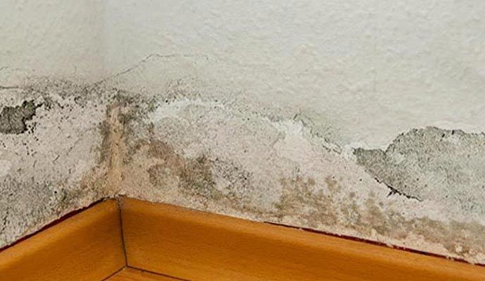 Structurally damaged wall due to water
