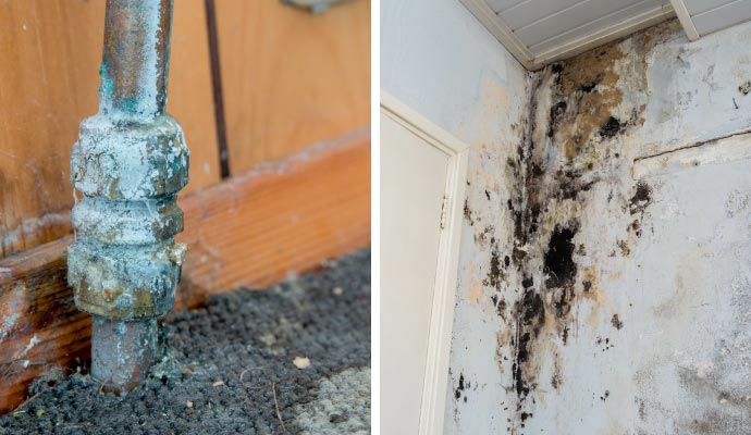 Collage of carpet water damage and structural damage