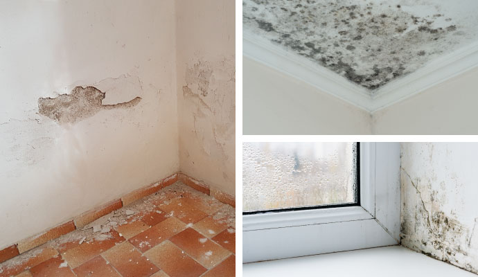 Collage of damp wall, mold on ceiling, and wall