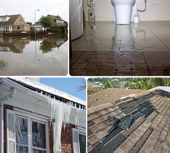 Collage of flood damage, overflowing toilet, ice damage and roof damage