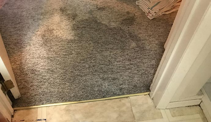 Water damaged carpet on the floor