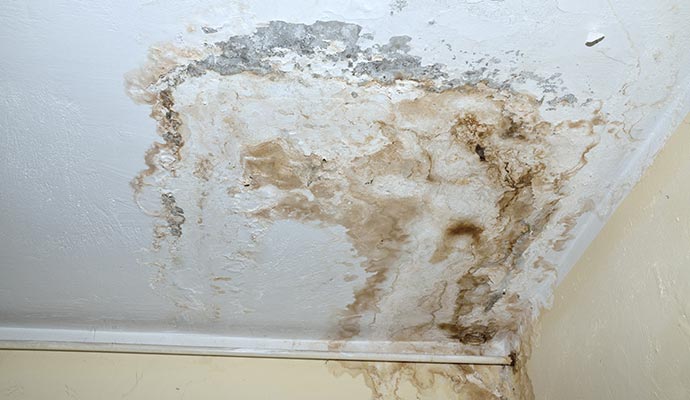 Water damaged ceiling Water damaged ceiling