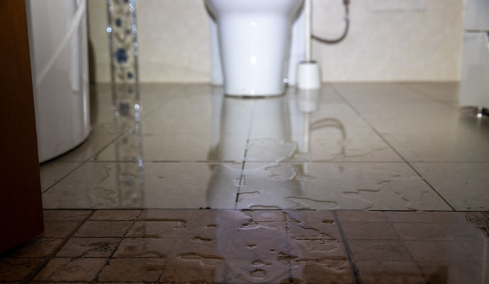 Water overflow on toilet floor