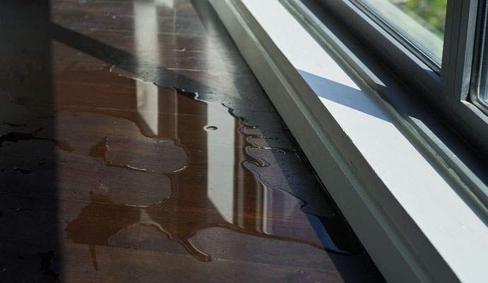 HVAC Discharge Line Water Damage Restoration in Livonia and Canton