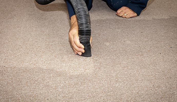 Water damaged carpet restoration service